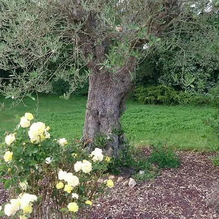L'abri Cotier Les Moutiers